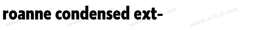 roanne condensed ext字体转换